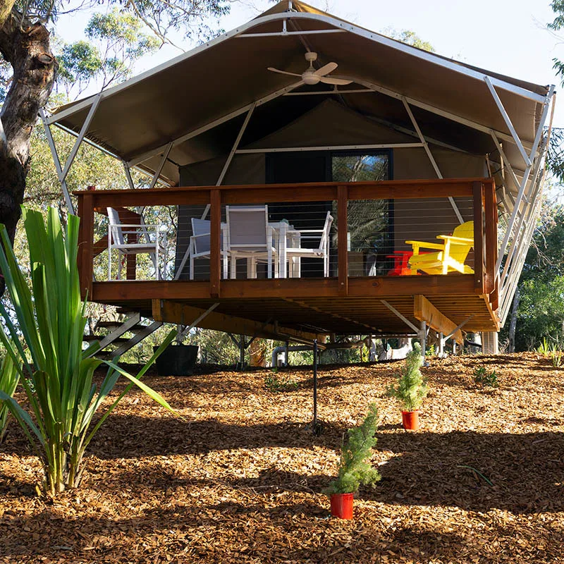 Port Stephens Koala Sanctuary