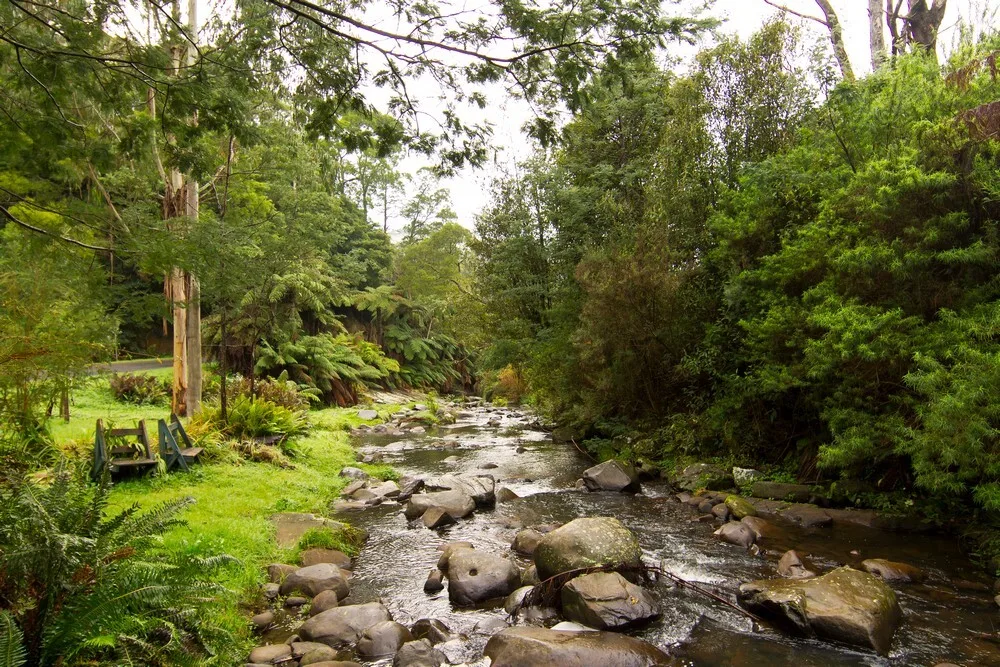 Tarra Valley Retreat