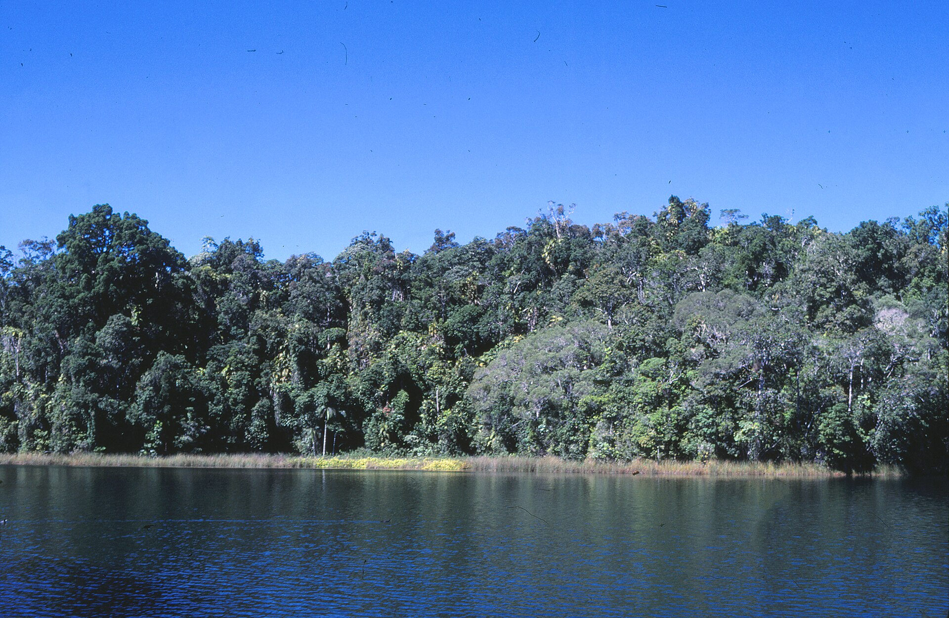 How to Spend 3 Days on the Atherton Tablelands: The Complete Self-Drive Guide
