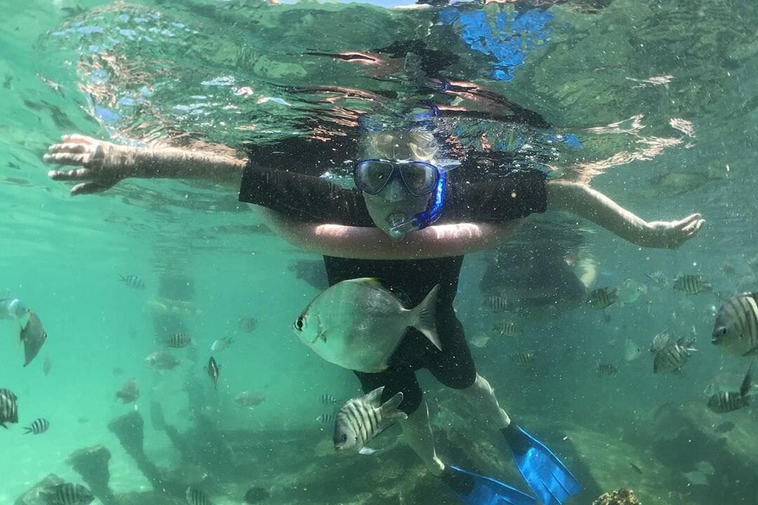 Eco Marine Cruise with Brisbane Transfers Scarborough QLD