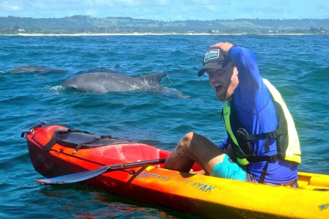 Sea Kayak and Dolphin Tour, Byron Bay Marine Park Byron Bay NSW