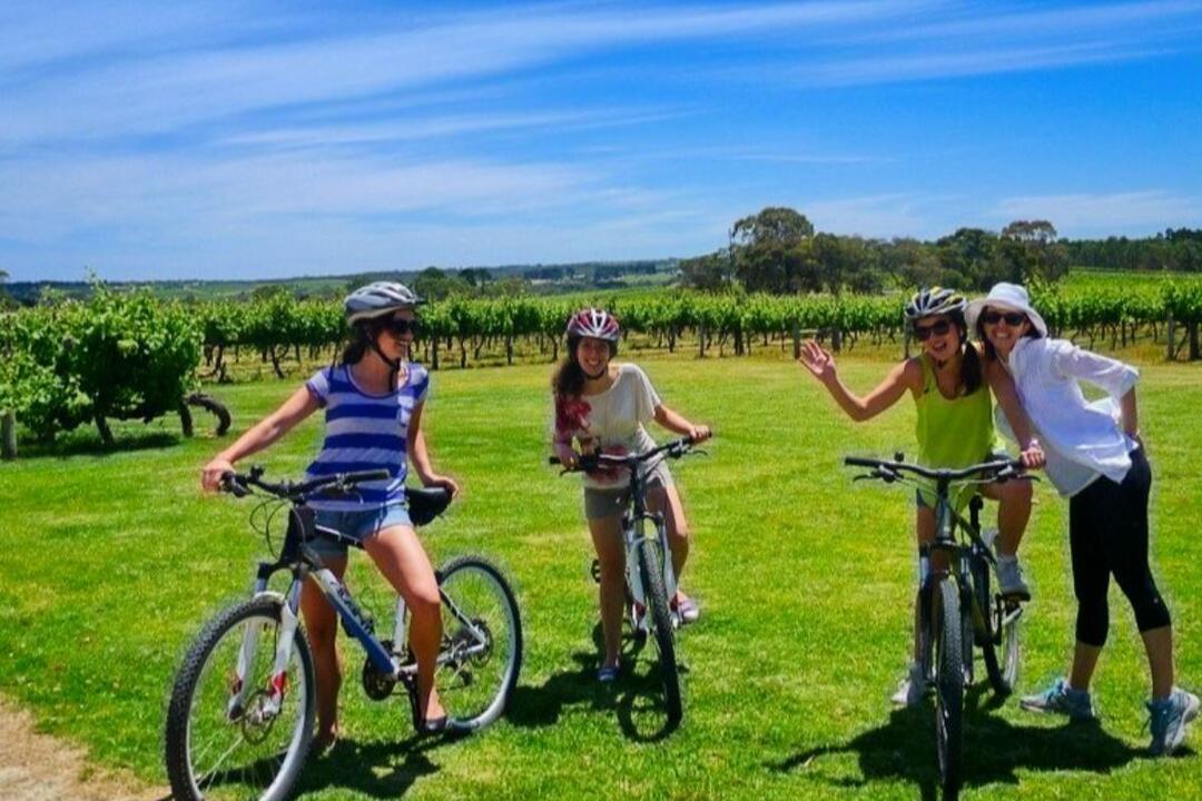 McLaren Vale Mountain Bike Adventure Adelaide SA