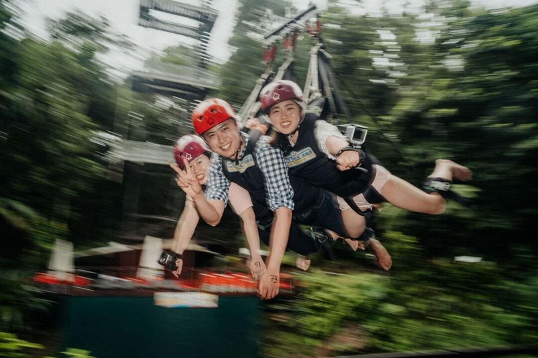 Giant Jungle Swing Cairns QLD