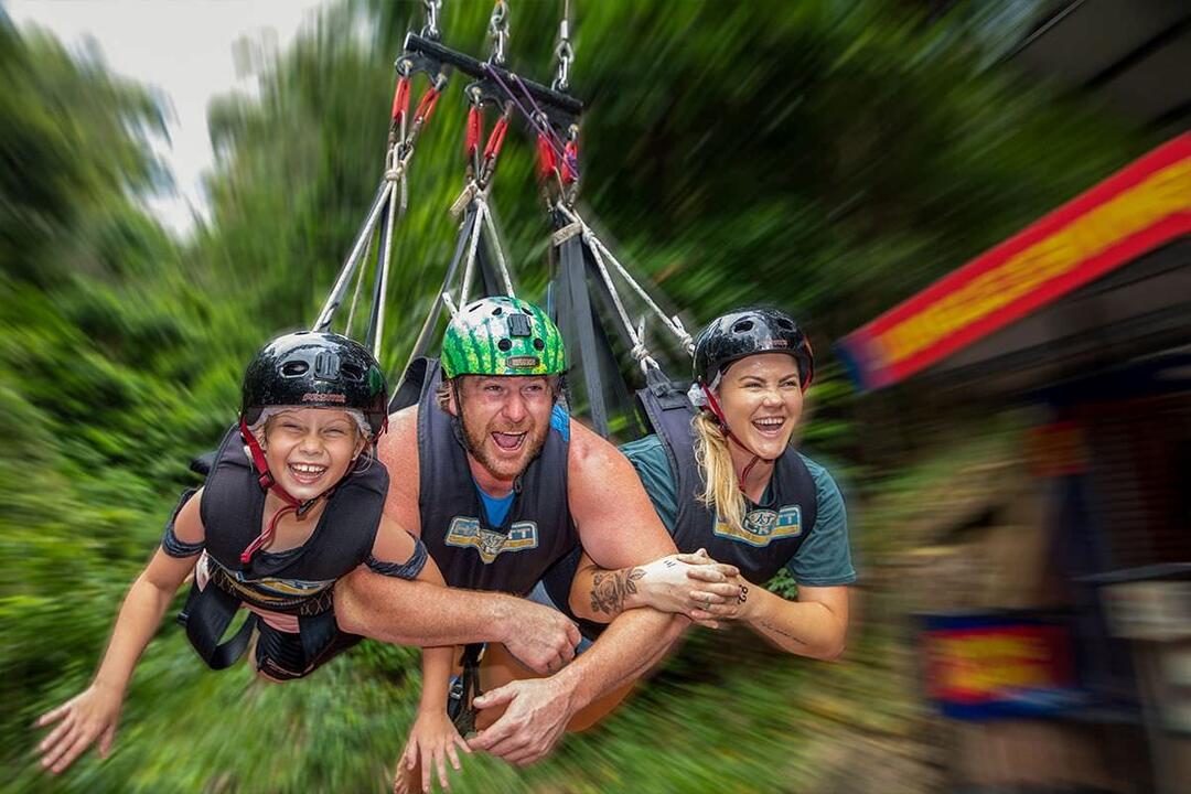 Giant Jungle Swing, Family Cairns QLD