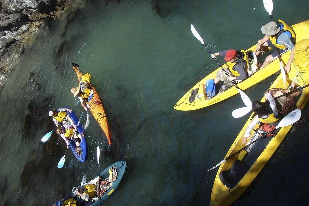 Glass-Bottom Kayak Tour Batemans Bay NSW