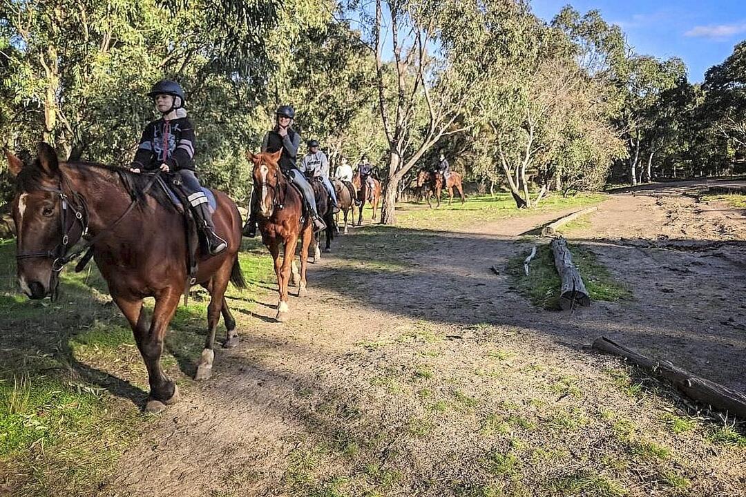 1-hour Family Horse Riding Tour Oaklands Junction VIC