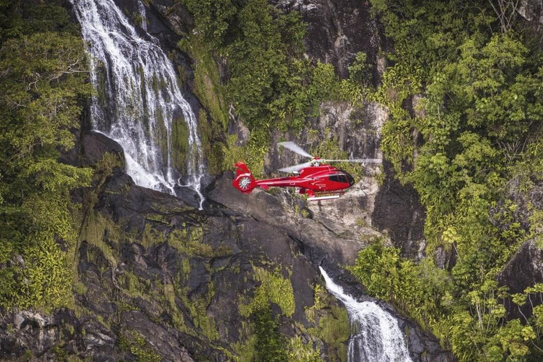 Rainforest Scenic Flight Cairns QLD