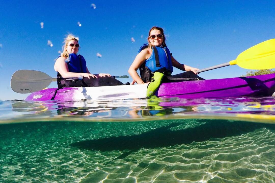 Morning Dolphin Kayaking and Snorkeling Tour Surfers Paradise QLD