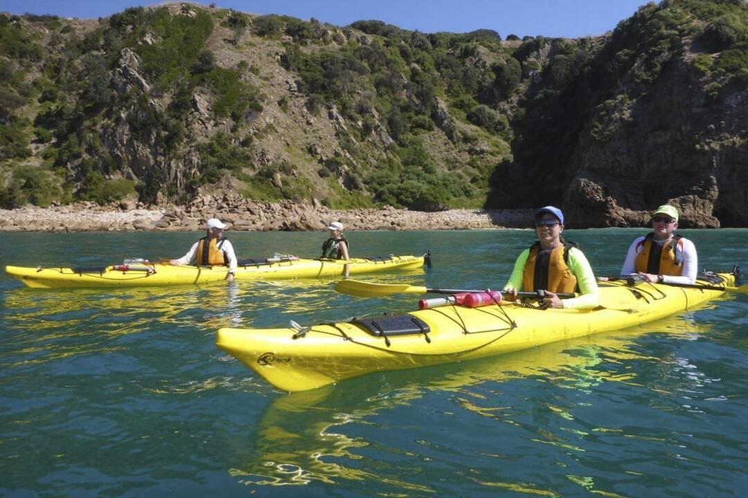 Phillip Island Kayak Tour Phillip Island VIC