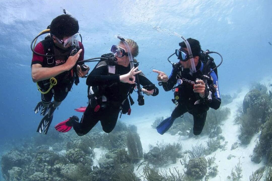 PADI Open Water Course, Gold Coast Main Beach QLD