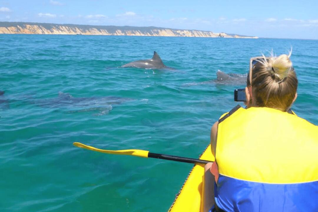Dolphin View Sea Kayak and Beach 4x4 Adventure Noosa Heads QLD