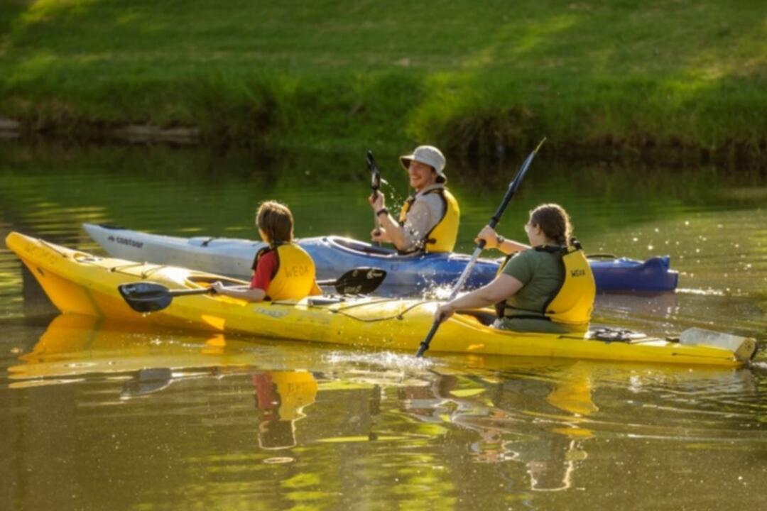 Adelaide City Kayak Tour Adelaide SA
