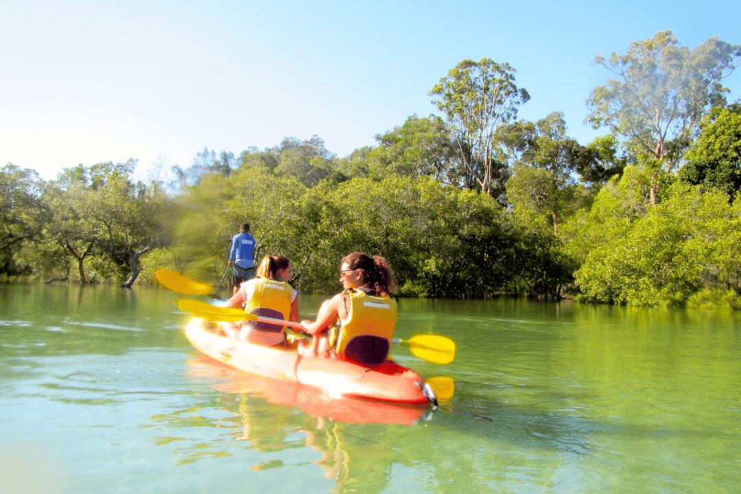 Sea Kayak and Dolphin Tour, Byron Bay Marine Park Byron Bay NSW