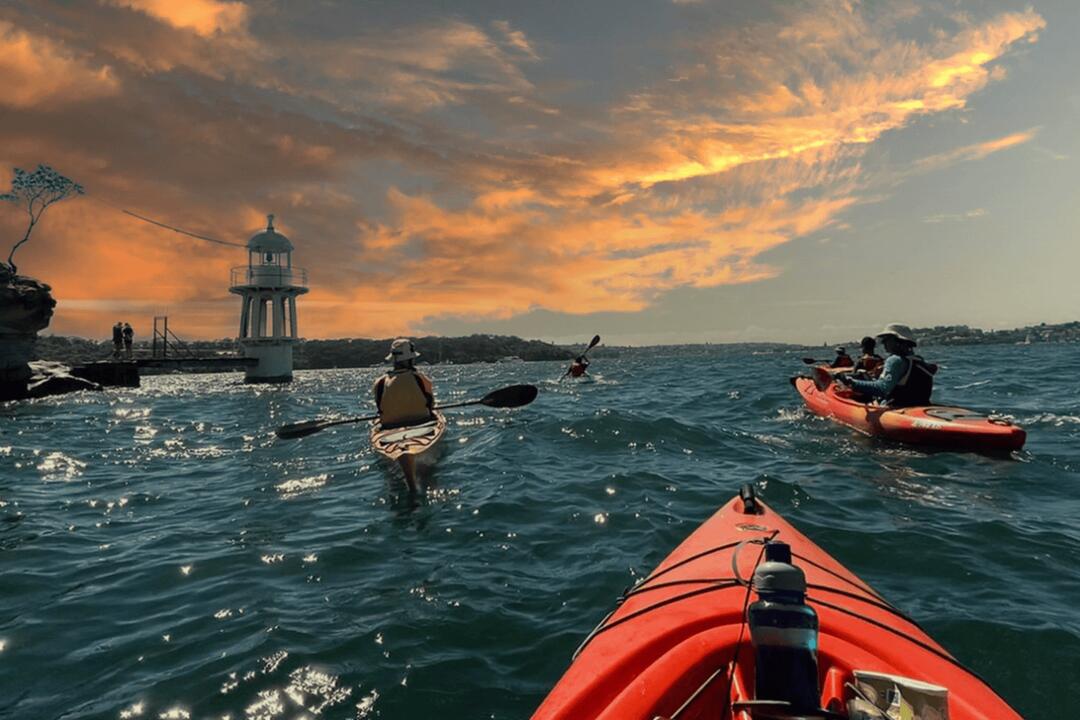 Sydney Sunset Kayak Tour Sydney NSW
