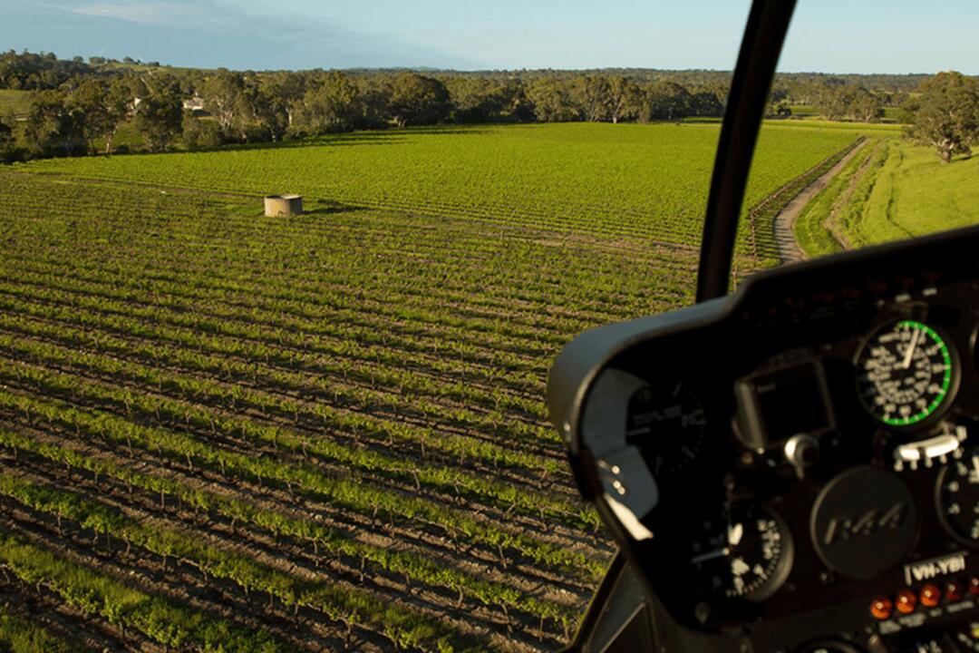 Helicopter and Wine Extravaganza at Pindarie Wines Lyndoch SA