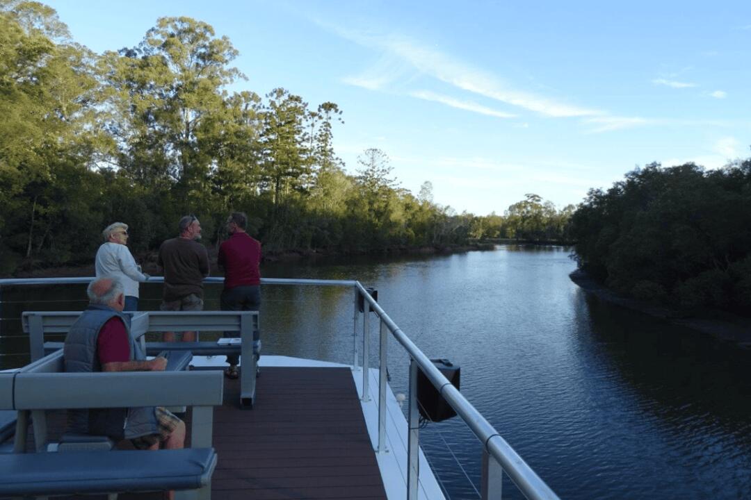 Morning Eco Rainforest River Cruise Brunswick Heads NSW