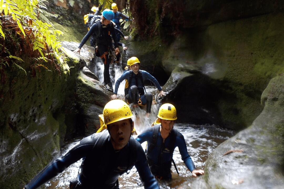 Butter Box Canyon, Blue Mountains Katoomba NSW