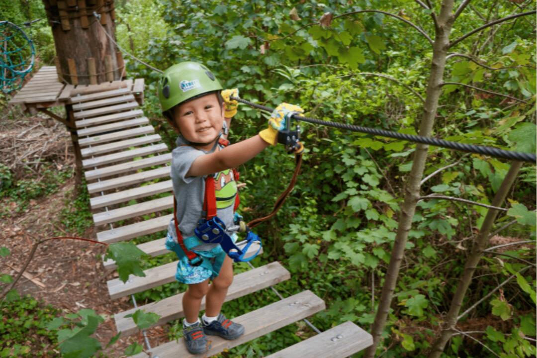 Junior Treetops Ropes Course West Pennant Hills NSW
