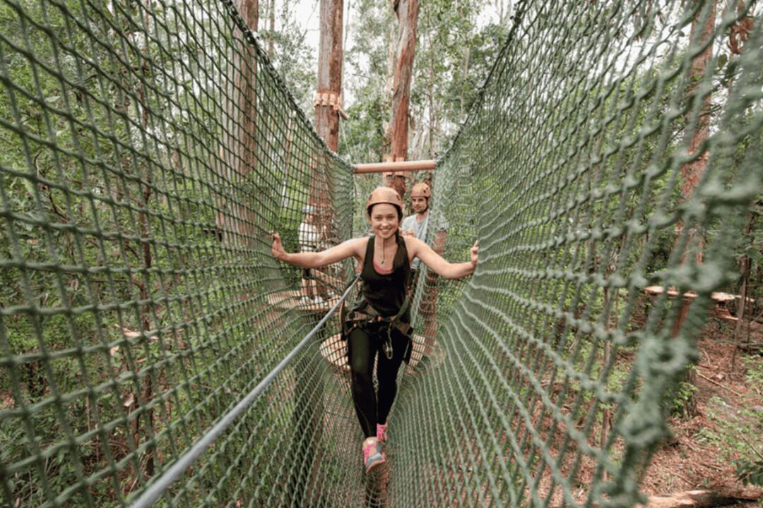 Treetops Elevated Ropes Course West Pennant Hills NSW
