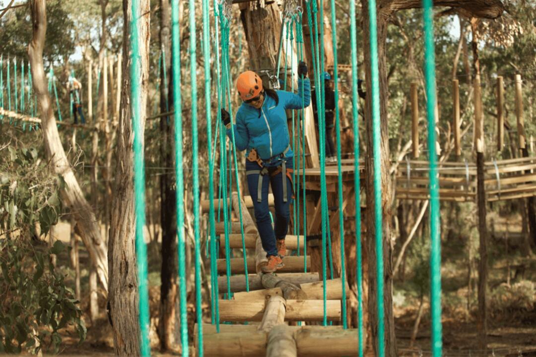 Treetops Elevated Ropes Course Yeodene NSW