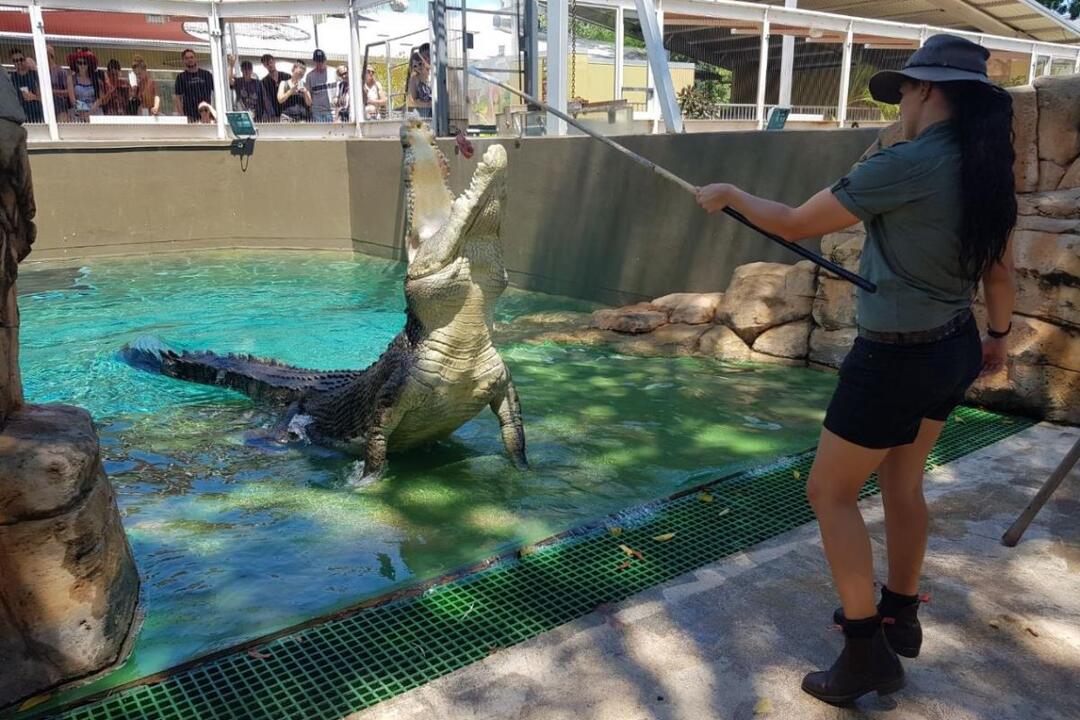 Crocosaurus Cove, Family Entry Darwin NT