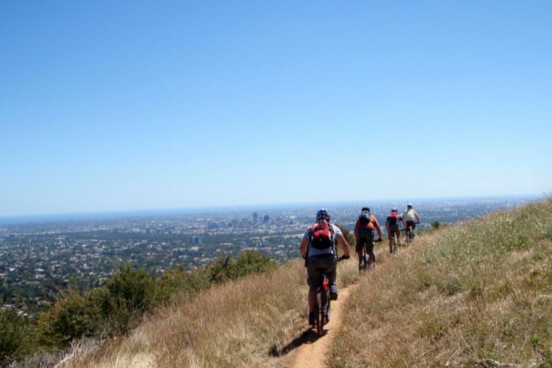 Downhill Biking and Wildlife Encounter Adelaide SA