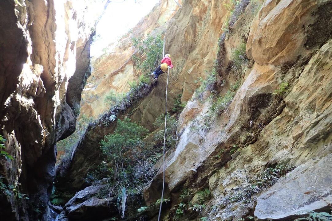Whungee Whengee Canyon, Blue Mountains Katoomba NSW
