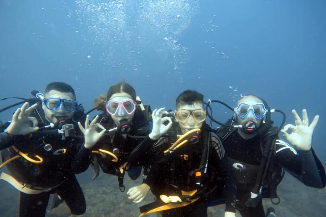 Introductory Dive, Sunshine Coast Reefs Mooloolaba QLD