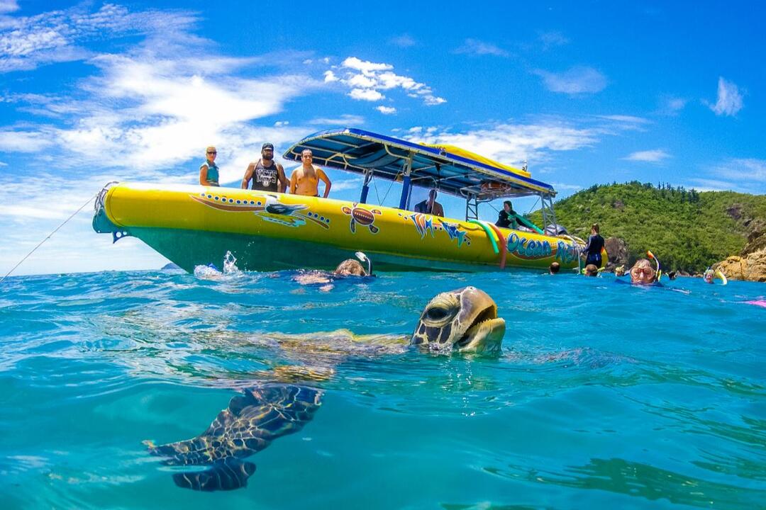 Whitsunday Islands High Speed Boat and Snorkel Airlie Beach QLD