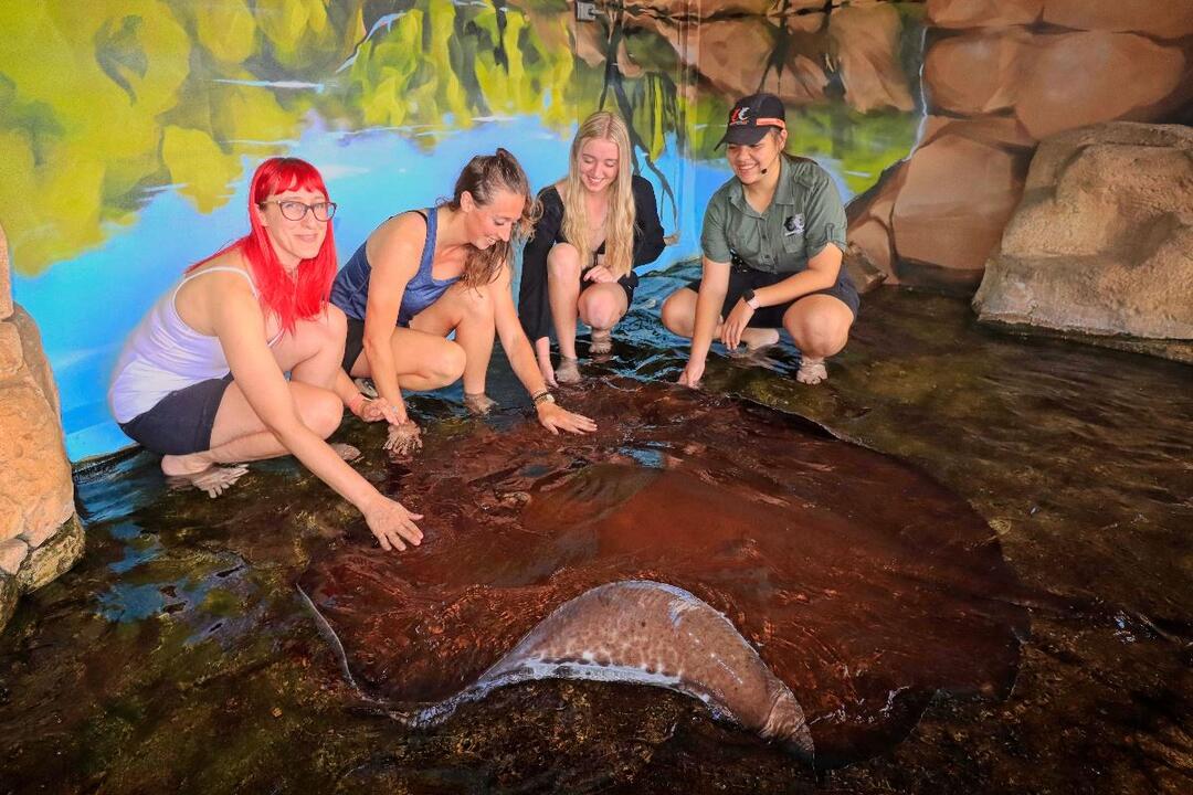 Whipray Encounter Darwin NT