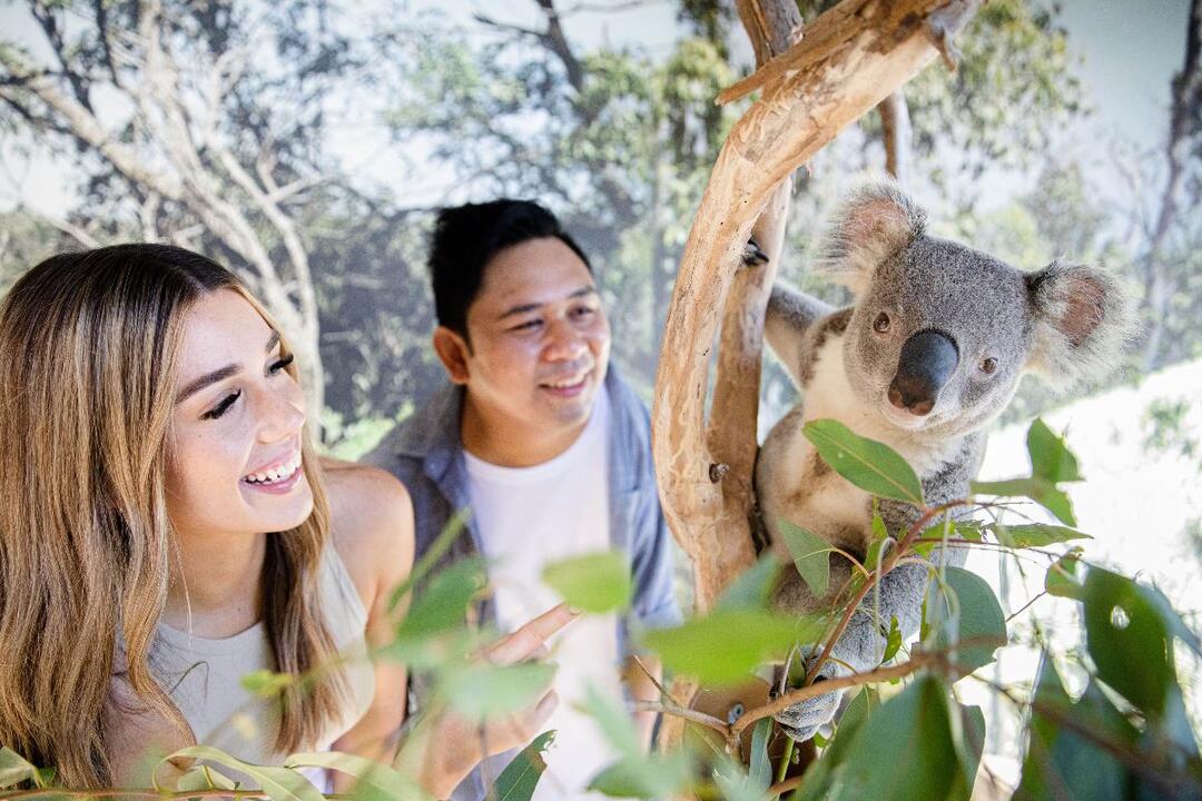 Ultimate Blue Mountains Tour Sydney NSW