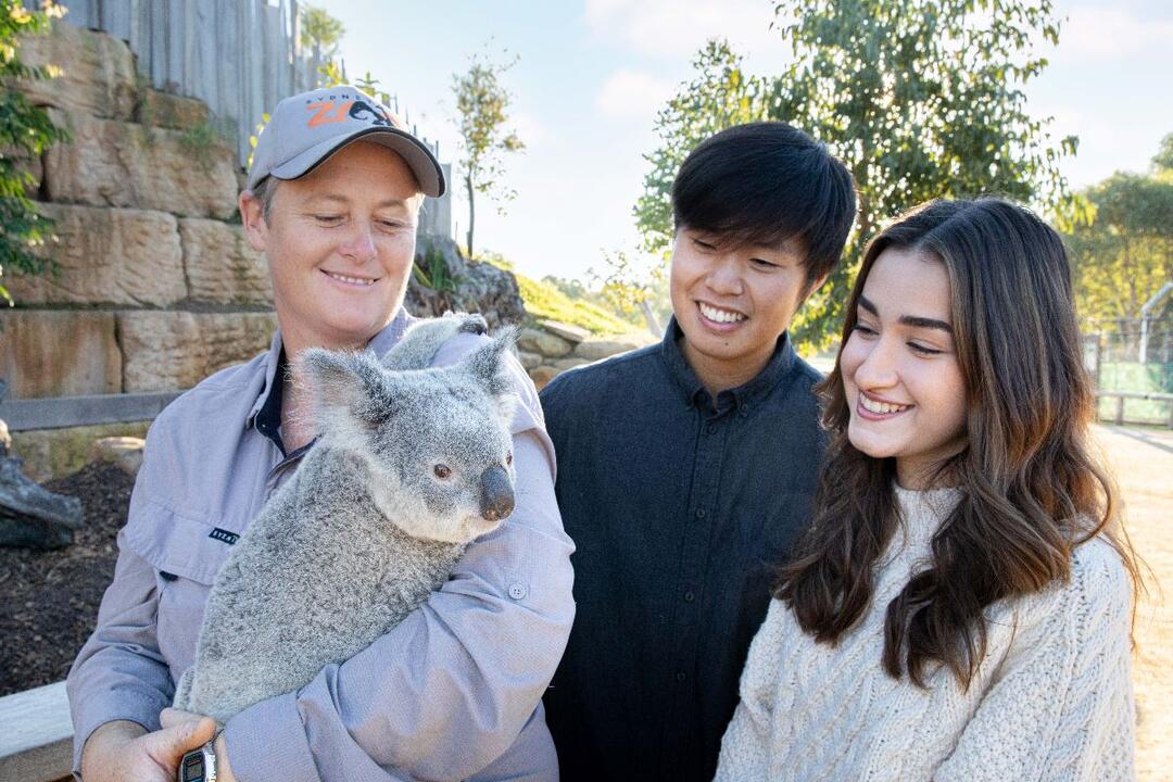 Ultimate Blue Mountains Tour Sydney NSW