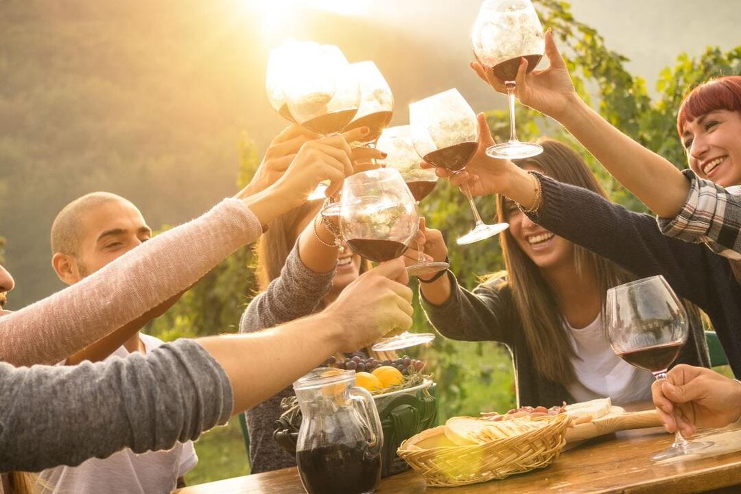 Mornington Peninsula Winery Private Car Tour Melbourne VIC