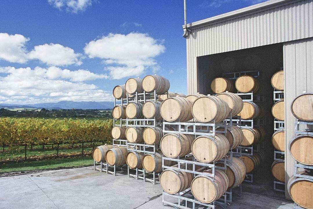Mornington Peninsula Food Trail Tour for Up to 7 Melbourne VIC