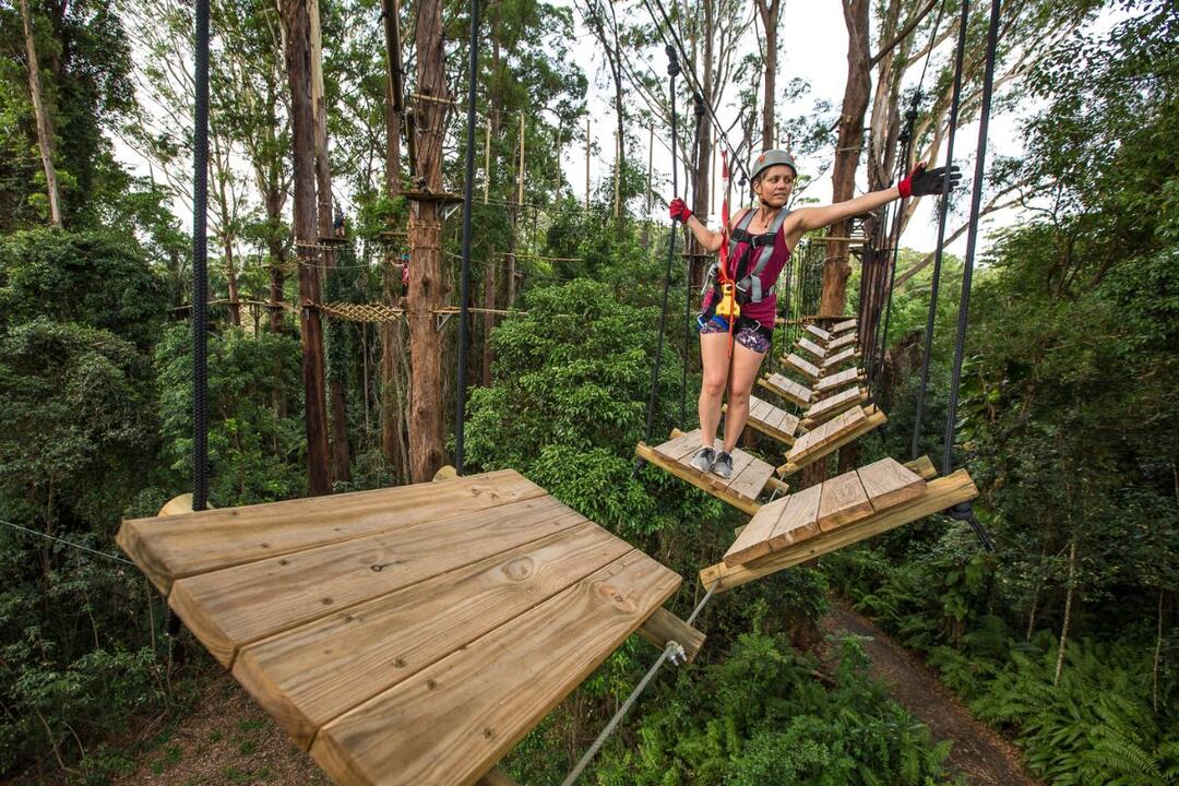 Sunshine Coast Adventure Park Woombye QLD