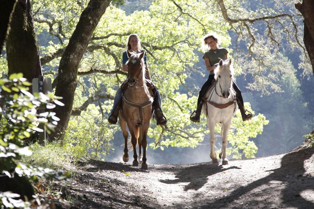 Helicopter and Horse Ride with Picnic Hunter Valley NSW