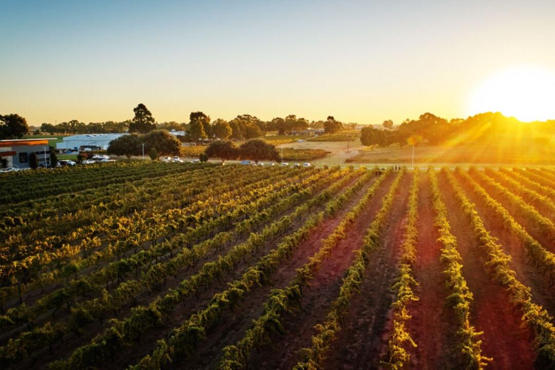 Wine Immersion at Mandoon Estate Caversham WA