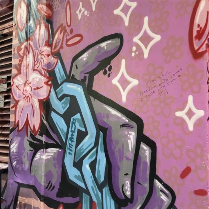 Melbourne Art in the Streets Tour Melbourne VIC