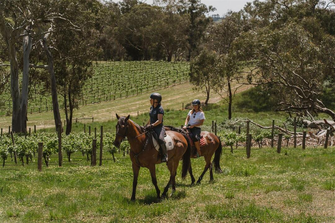 Romantic Horseback Winery Ride Package Woodside SA
