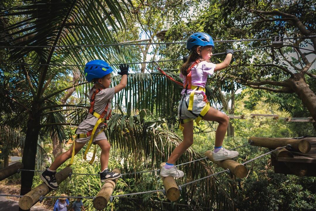 Ropes Adventure for Juniors Abbotsbury NSW