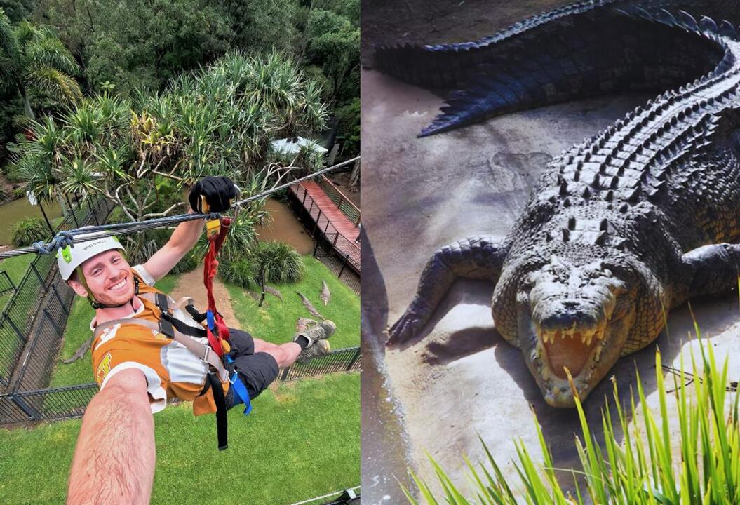 Treetop Challenge and Currumbin Wildlife Sanctuary Gift Voucher - Tamborine Mountain QLD
