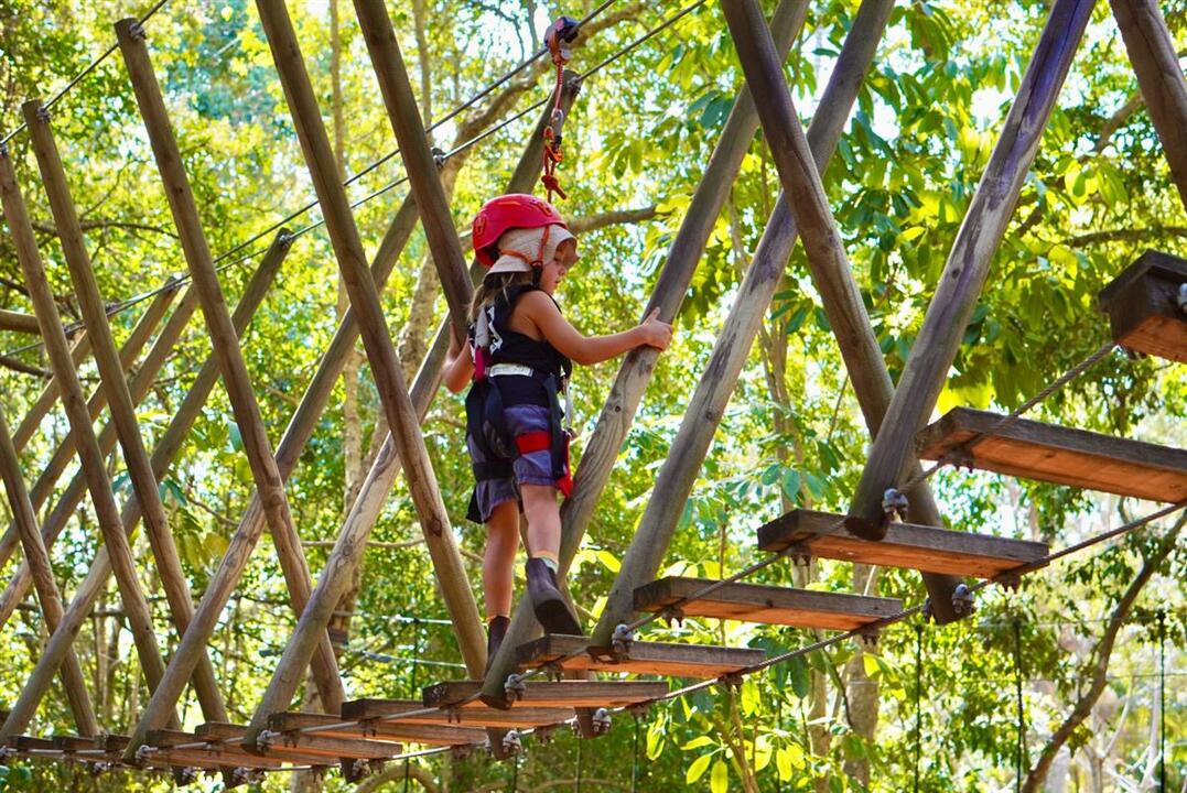 Junior Zipline Fun for Mini Adventurers - Gift Voucher or Instant Booking - Tamborine Mountain QLD