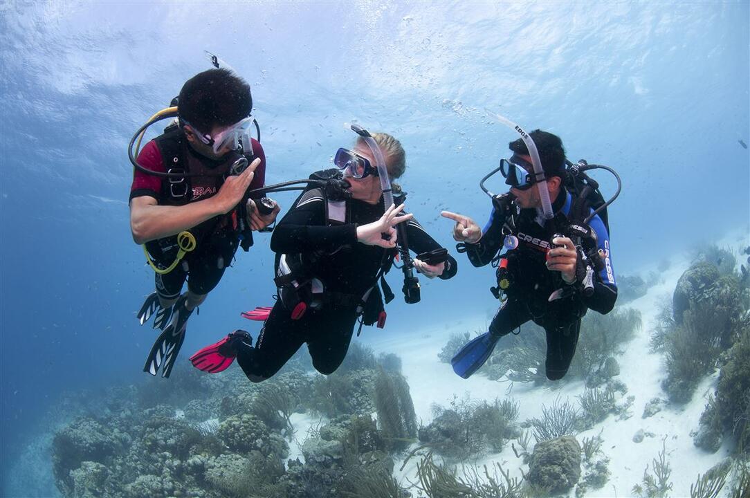PADI Open Water 3 Day Scuba Diver Course Gold Coast QLD