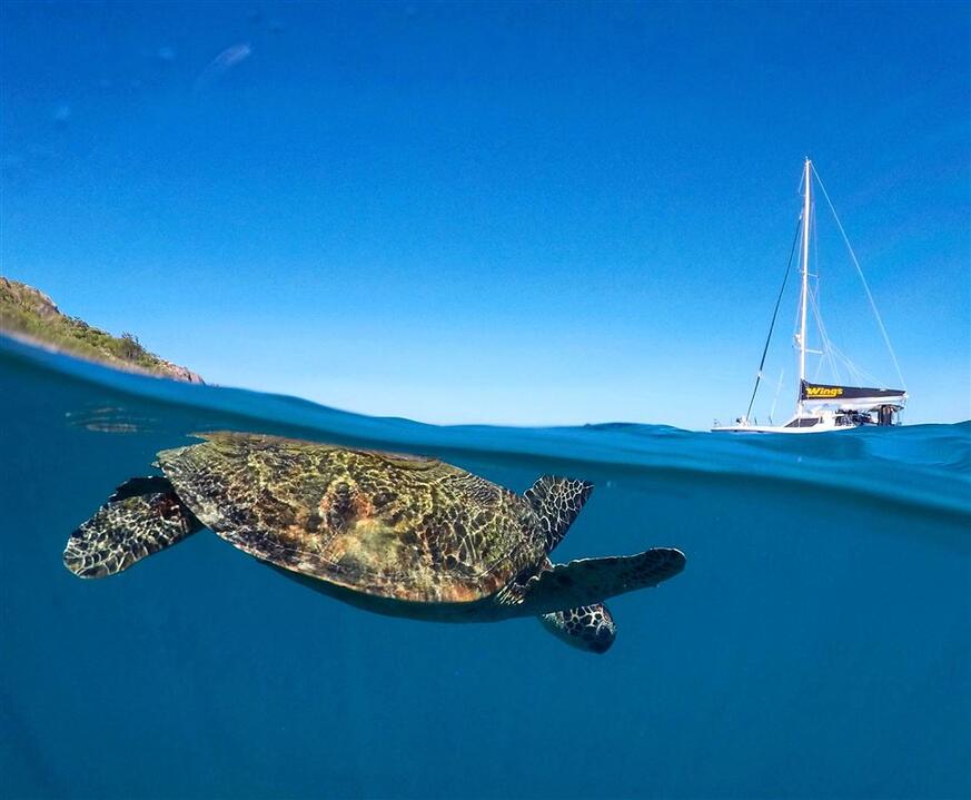Whitsundays Private Sail Airlie Beach QLD � Experience