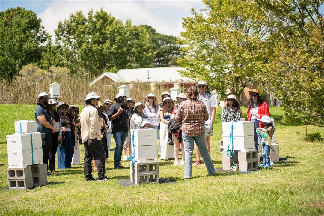 Beehive to Table Hands On Honey Harvest Bowral NSW
