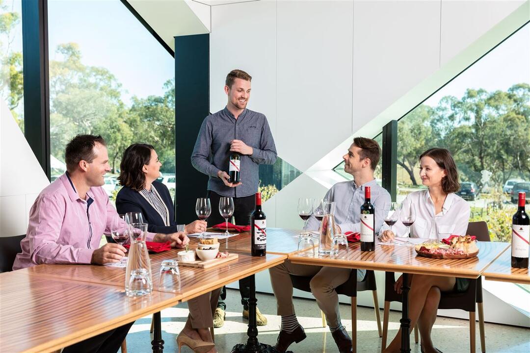 Exclusive Tour, Wine and Gin Tasting for 11 McLaren Vale SA