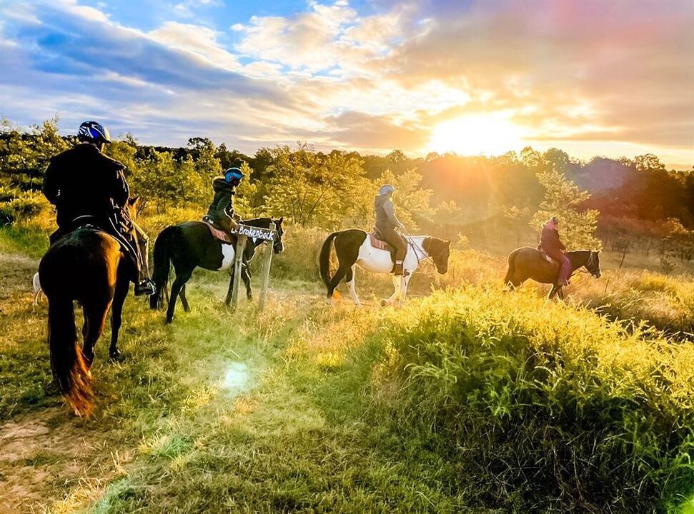Sunset Horse Ride, 90 Minutes Pokolbin NSW