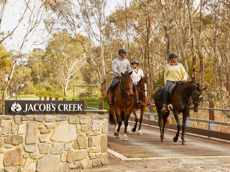 Vineyard Horse Ride and Romantic Picnic Rowland Flat SA