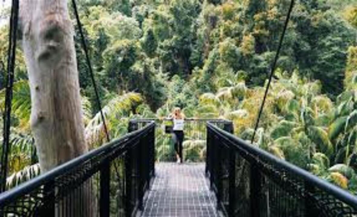 Tamborine Rainforest Adventure - Gift Voucher or Instant Booking - Brisbane QLD