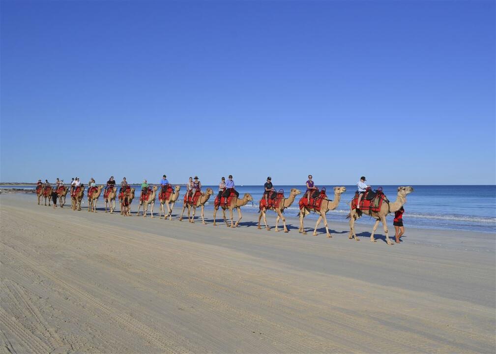 Magical Morning Camel Ride Broome WA